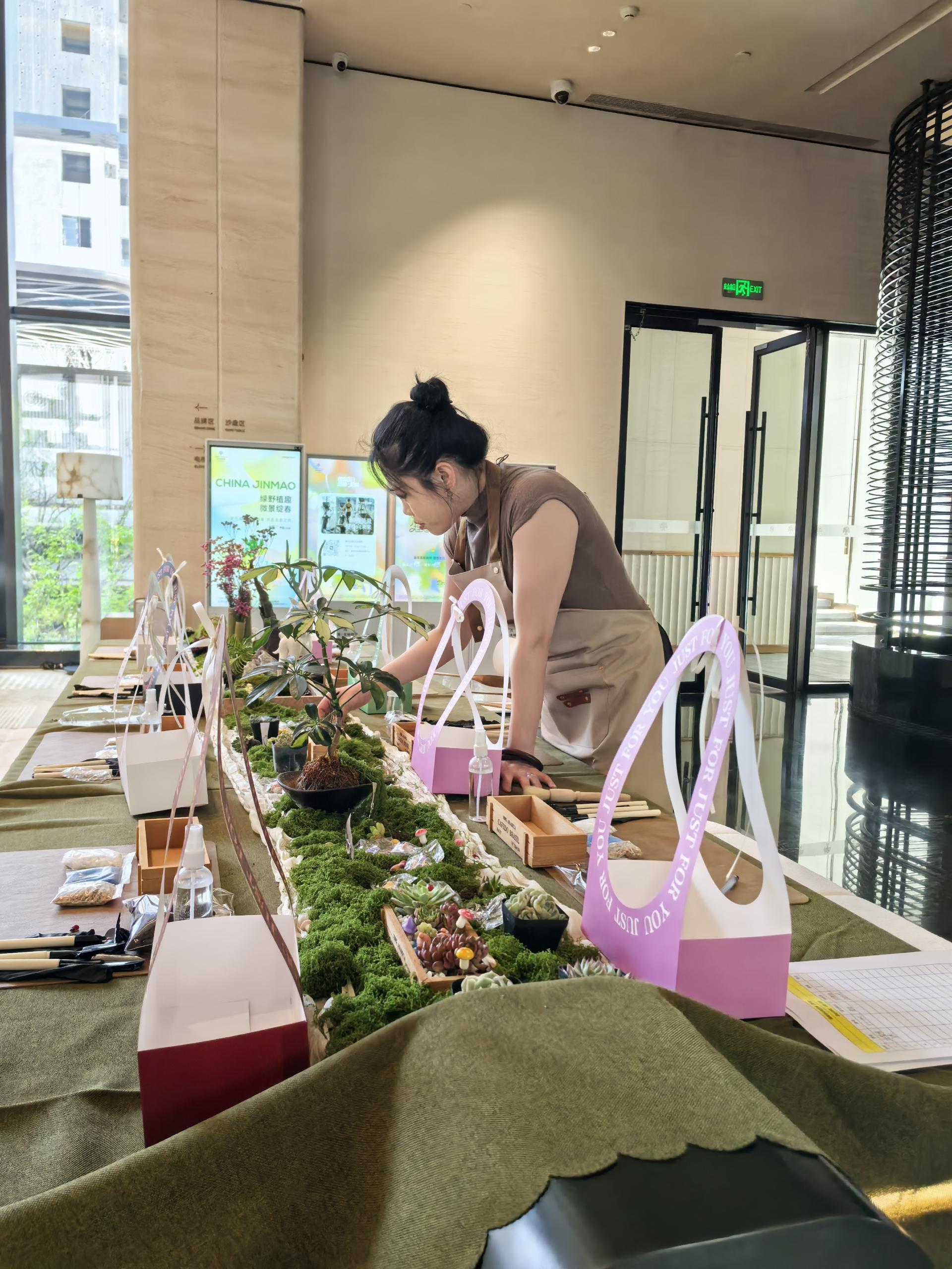 多肉植物团建