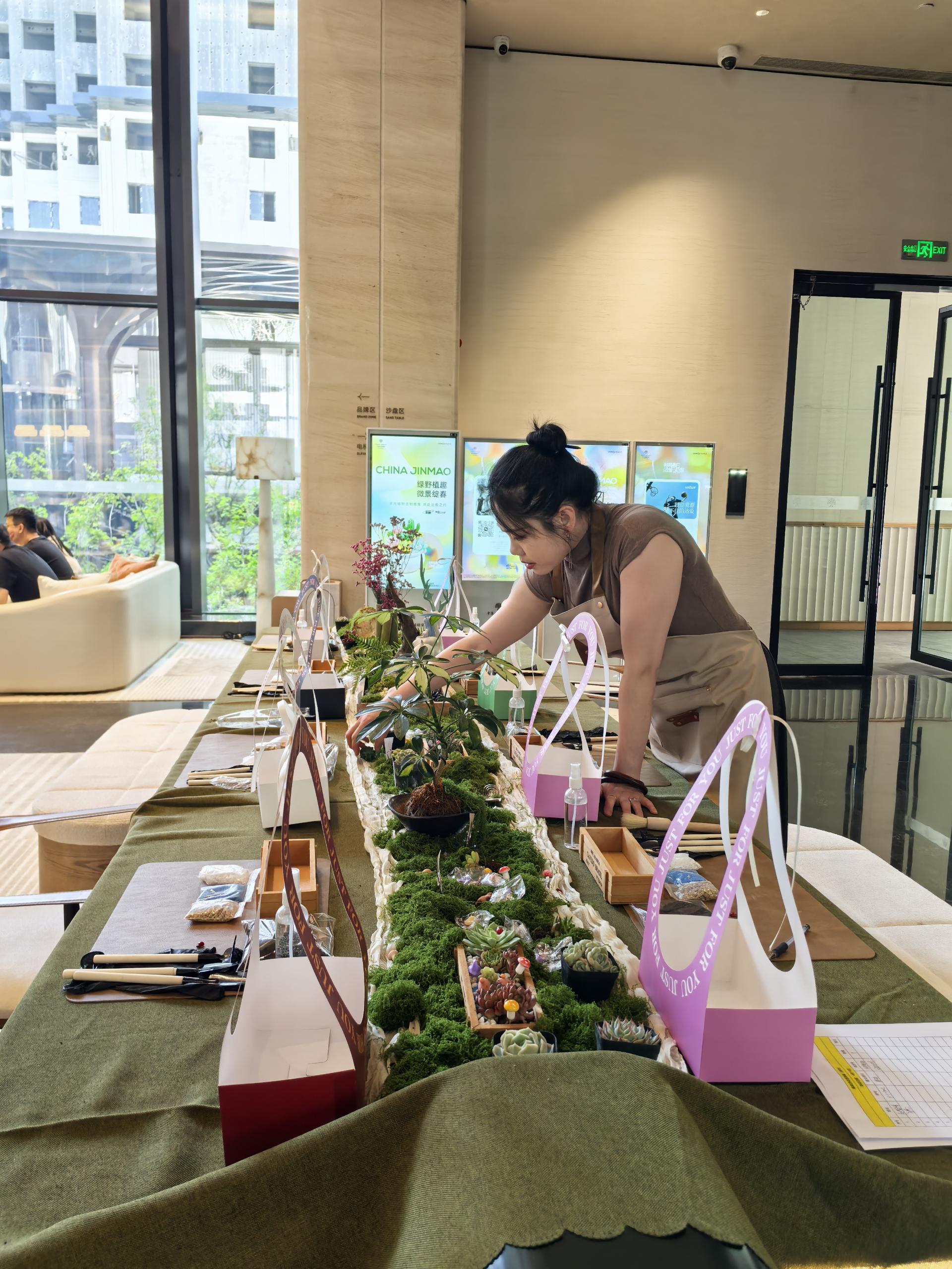 多肉植物团建 现场图