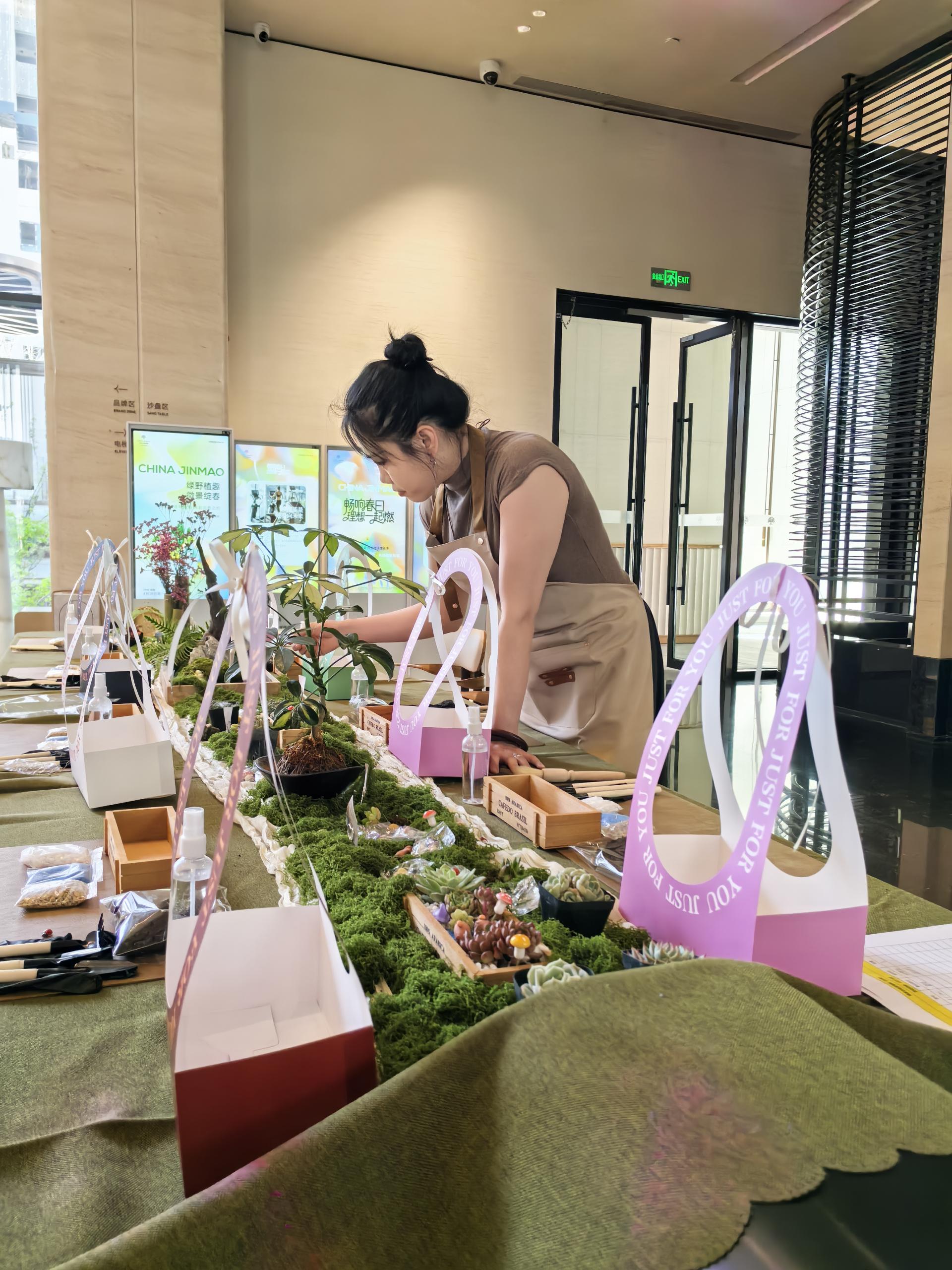 多肉植物团建 现场图
