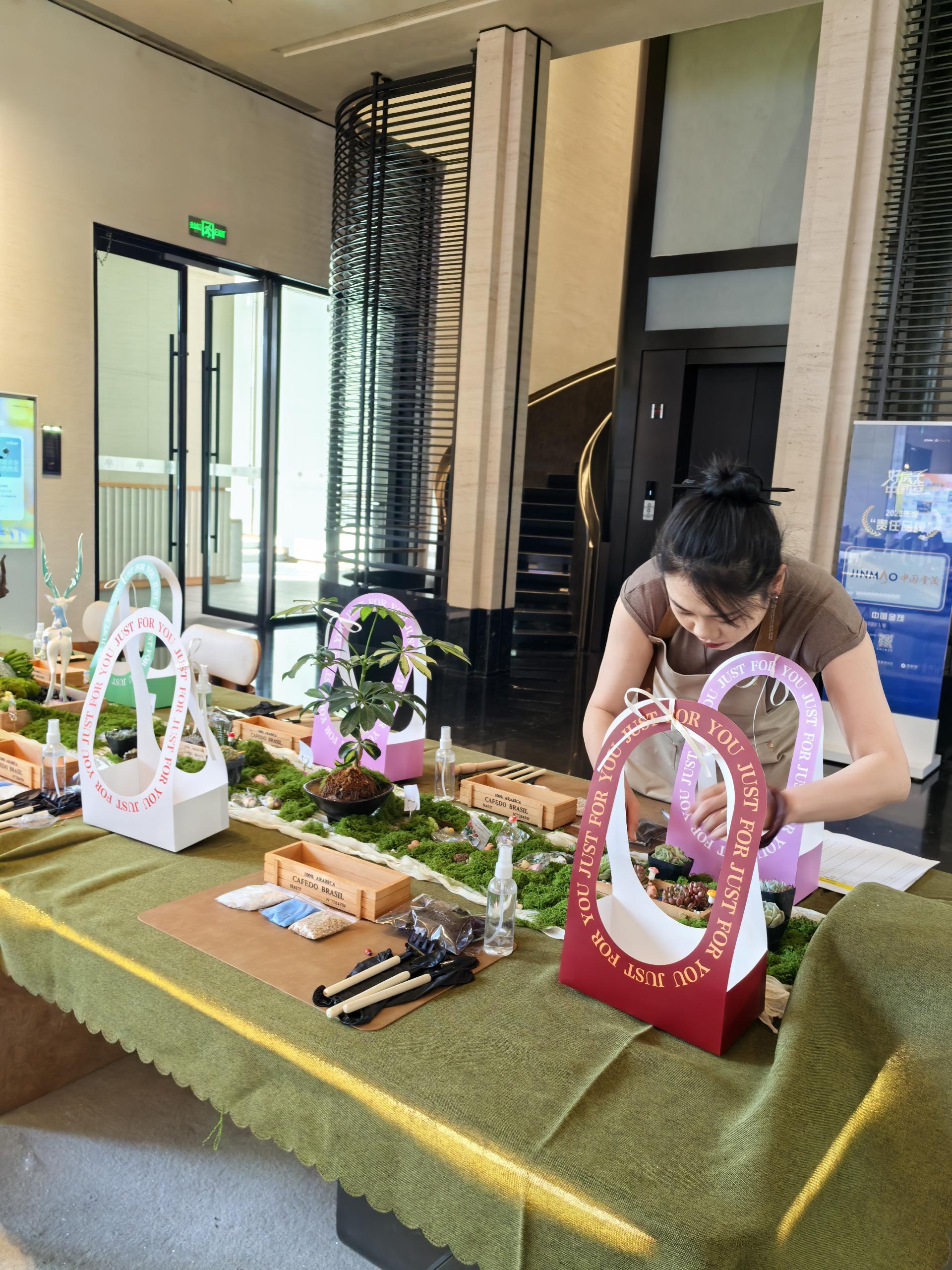 多肉植物团建 现场图
