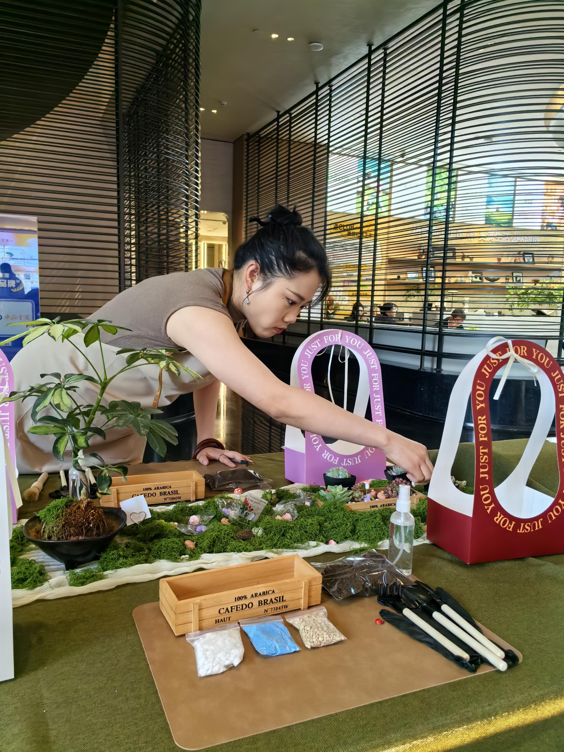 多肉植物团建 现场图