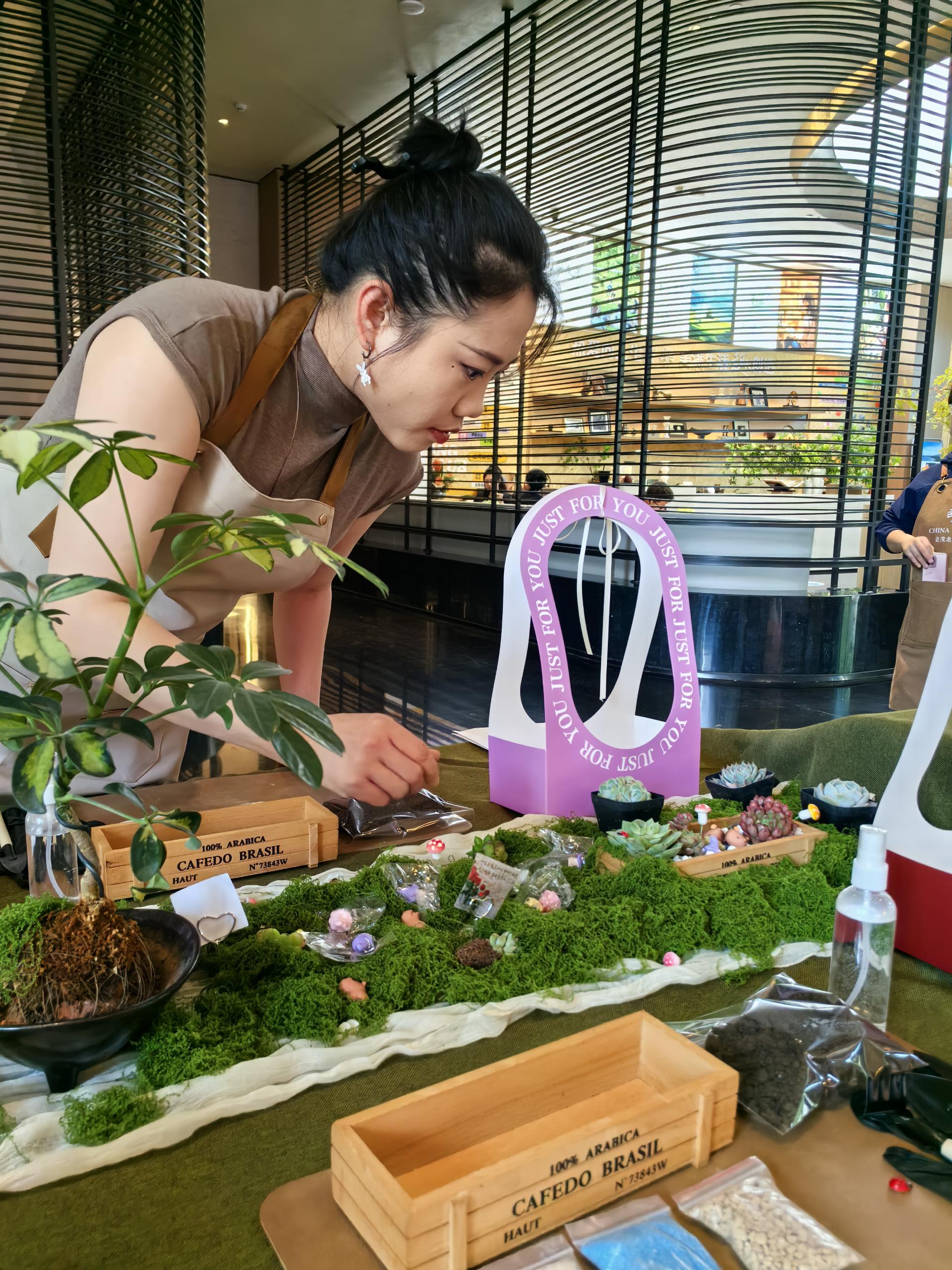 多肉植物团建 现场图