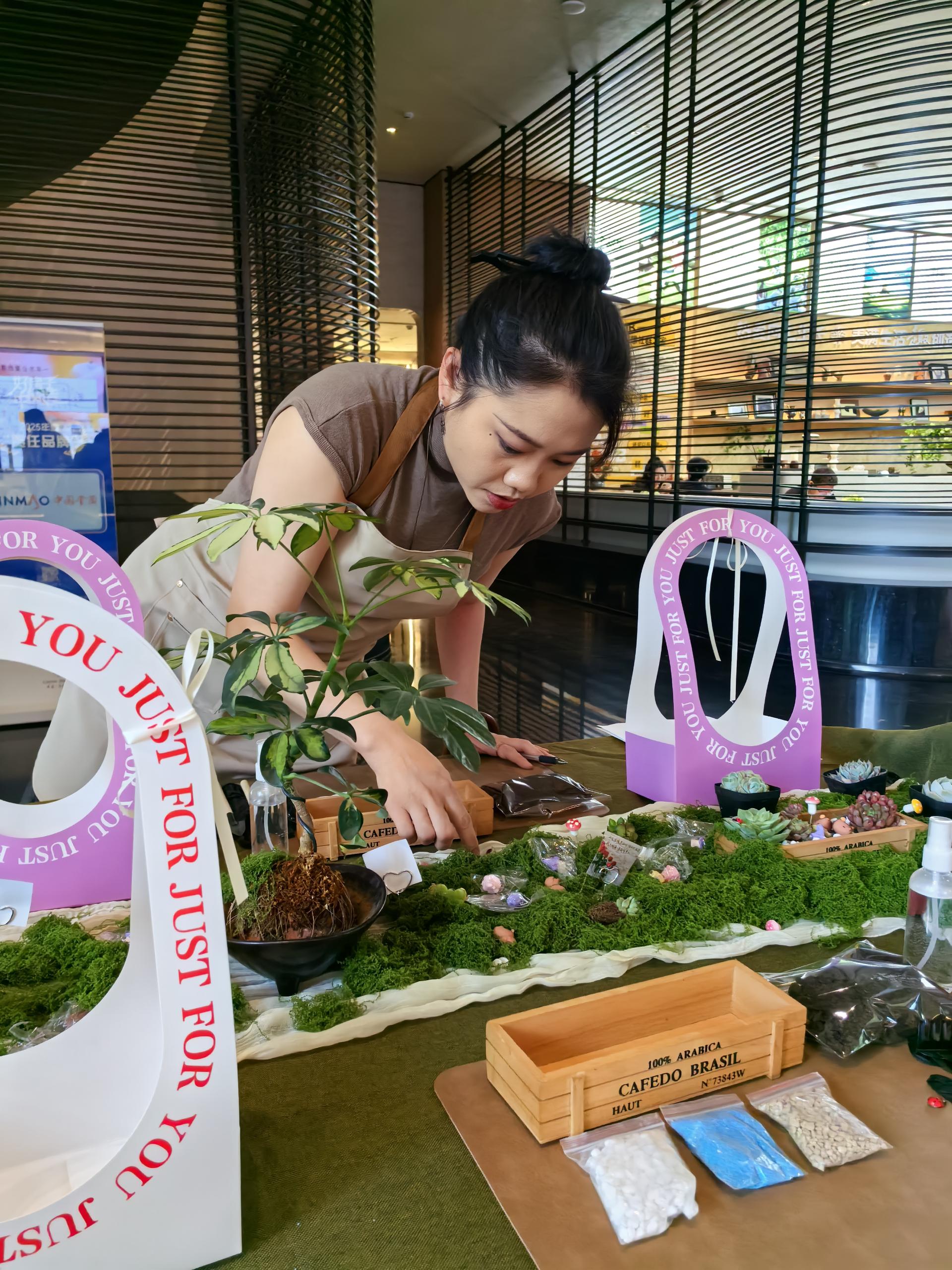 多肉植物团建 现场图