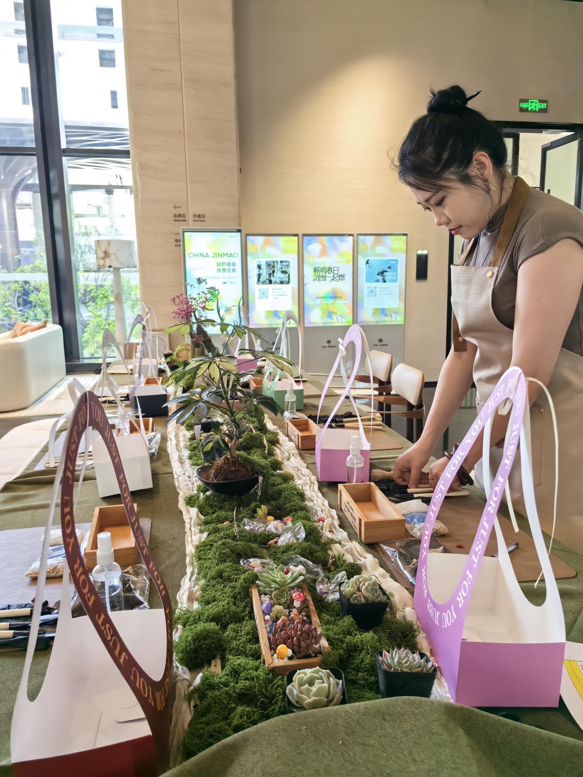 多肉植物团建 现场图