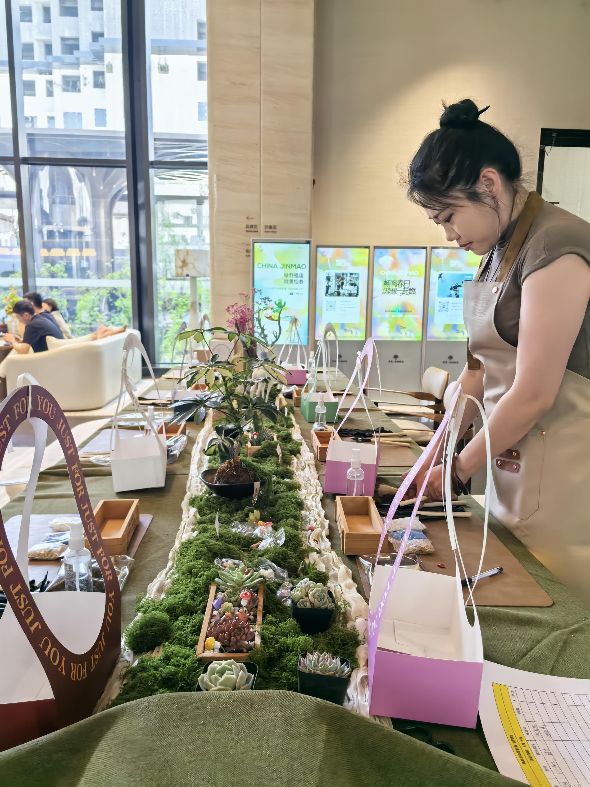 多肉植物团建 现场图