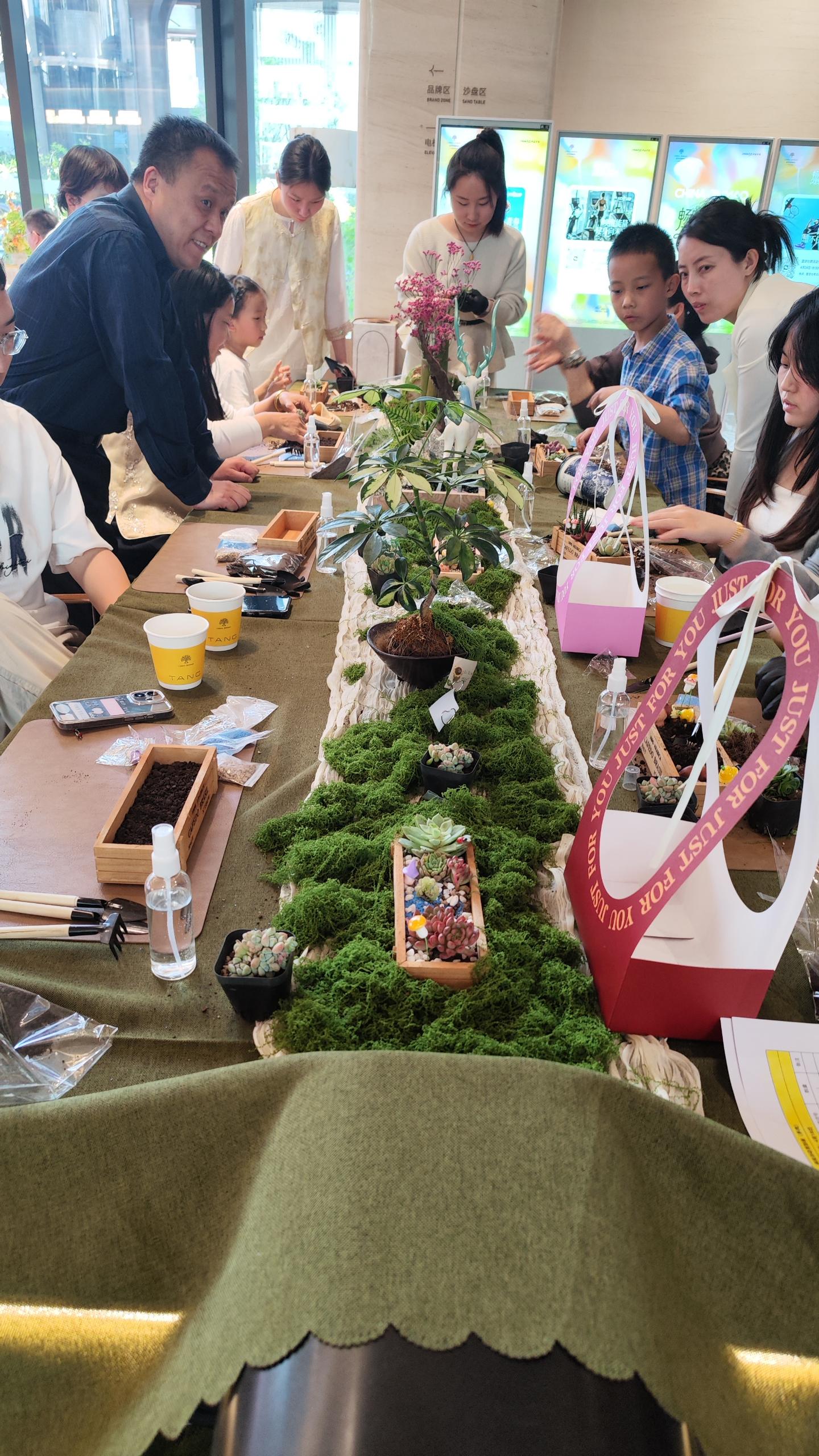 多肉植物团建 现场图